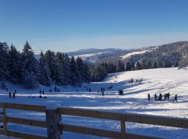 Morehead Guesthouse Vlasic, ubytování v soukromí v destinaci Vlašić