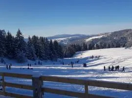 Morehead Guesthouse Vlasic