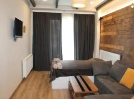 Cozy Apartment Near Gondola loft1