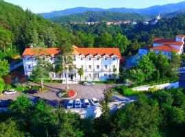 Limak Thermal Boutique Hotel, hotel in Gokcedere