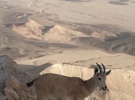 Desert Peace, hotel Micpe Ramonban