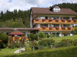 Pension Brix, hotel in Warmensteinach