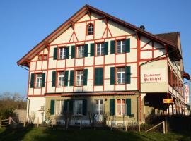 Hotel Restaurant Bahnhof, hotel v destinaci Schüpfen
