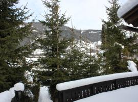 Chalet Heidi BKK, hotel in Bad Kleinkirchheim