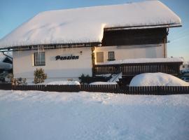 Pension Pugner, Hotel in Vysoké nad Jizerou