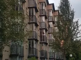 The Bridgeview