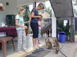 Priyanna Guest, Forest view