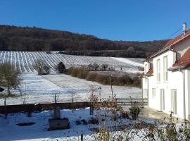 Aux vignes, хотел в Висембург