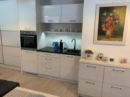 Apartmán Filipovice s letní terasou