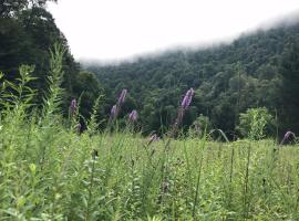 Whispering Meadow, holiday home in Elkins