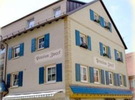 Pension Zweck, hostal o pensión en Gössweinstein