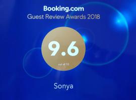 Sonya – hotel w mieście Ninotsminda