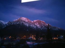 Apartament Golden Rose 1