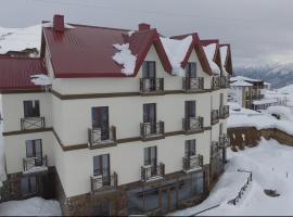 Hotel Ereto, hotel v destinaci Gudauri