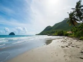 Villa Les Amandiers 4 chambres face à la mer!