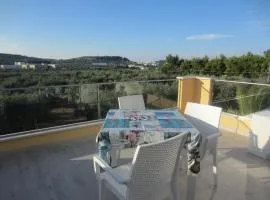 Villa Elisa