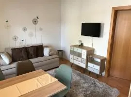 Ferienwohnung Nr.1