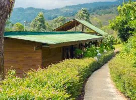Ecolodge Rain