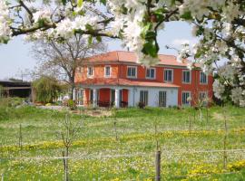 Weinhof am Nussbaum, hostal o pensión en Willanzheim