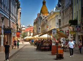 Regim Hotelier Pietonală