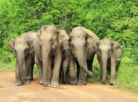 Diamond Resorts，位于达瓦拉维的自助式住宿