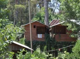 Olympos Camlık Pension