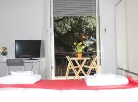Lotus B&B