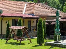 Casa Alex, hotel v destinaci Văliug