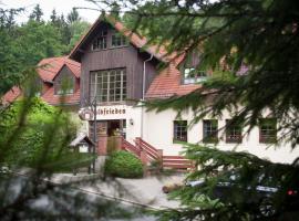 Waldfrieden Waldheim, hotel cerca de Presa de Kriebstein, Waldheim