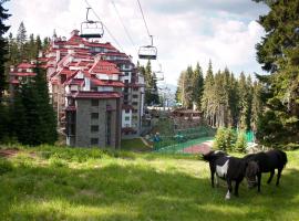 Complex Kamelia, serviced apartment in Pamporovo