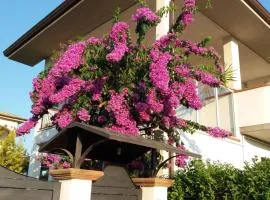 La Bouganville di Sante e Rosa