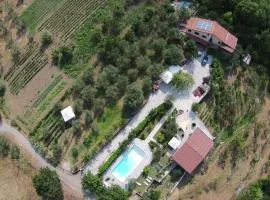 TENUTA MARTINO