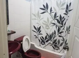 lee's home2