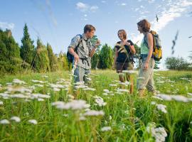 Nengshof Ferienhäuser Sonnenblume und Heublume, pet-friendly hotel in Wißmannsdorf