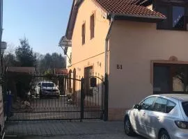 Car-es panzió