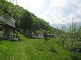 Bungalows Zdravets, хотел в Берковица