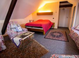 Hôtel de Bâle, hotel in Bantzenheim