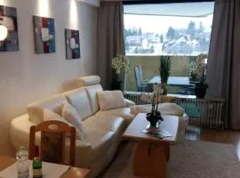 Apartmenthotel Hohegeiß Kasing MIT FREIEM WLAN und Schwimmbad