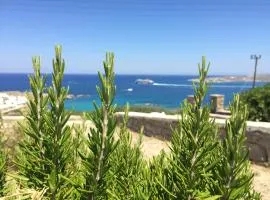 View House in Paroikia Paros