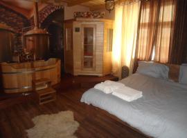 Luxusni Apartmany Stodolni, serviced apartment in Ostrava