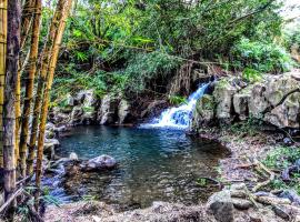 Hamakua Guesthouse，Pepeekeo的便宜飯店