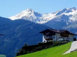 Apartments in Stummerberg/Zillertal 773, vacation rental in Acham