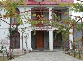 Villa "zepuri"