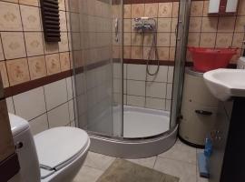 Zagroda Zalipie, hotel en Gostynin