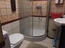 Zagroda Zalipie