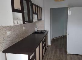 Apartament Mioritza 2A, hotel económico em Horezu