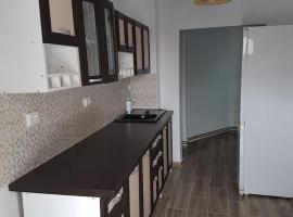 Apartament Mioritza 2A – hotel w mieście Horezu