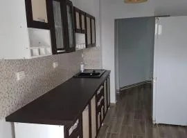 Apartament Mioritza 2A