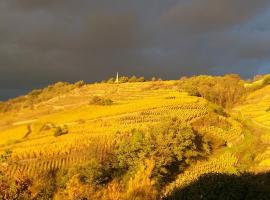 Wine Passion Panoramic เกสต์เฮาส์ในChavanay