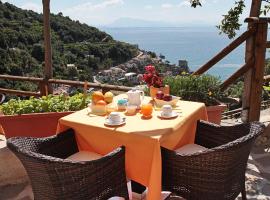 Limoneto Di Ercole, holiday rental in Maiori